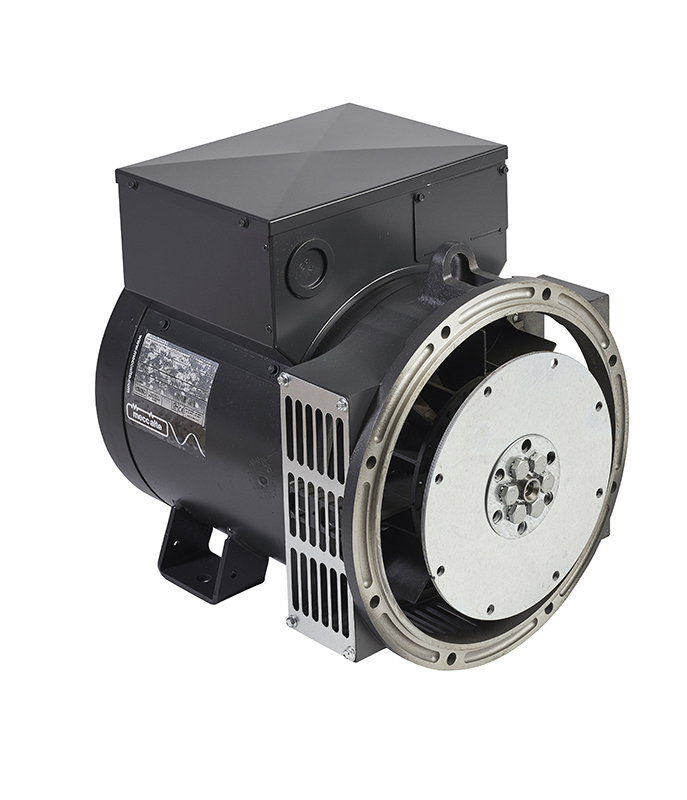 картинка Mecc Alte ECP28-1VS/4 (6,2 кВт)